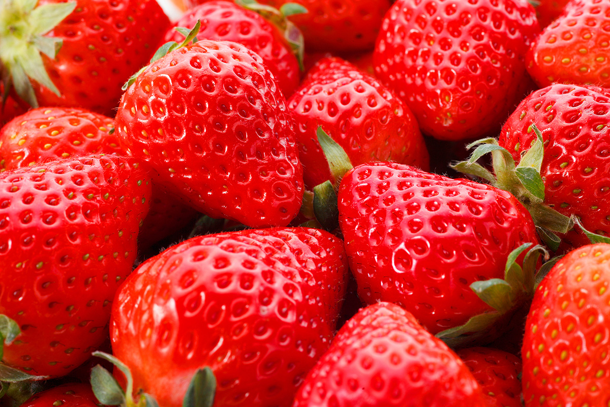 Japanese Strawberries are Sweet and Delicious, and Grown in the United States, Too