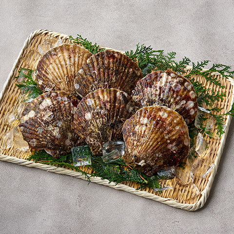 SCALLOPS