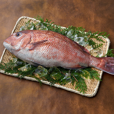 SEA BREAM