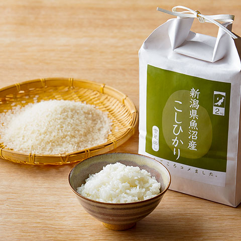 WHITE RICE