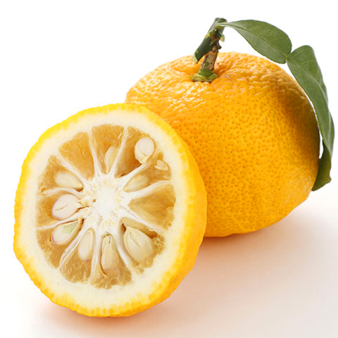 YUZU